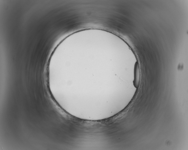 X0000096181056200802151437