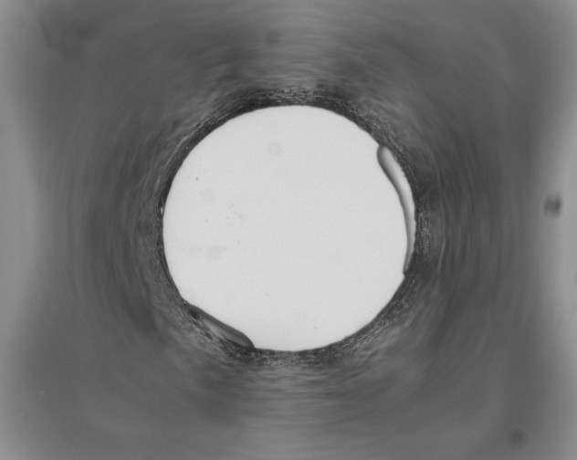 X0000096181057200802151436