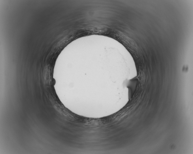 X0000096181058200802151436