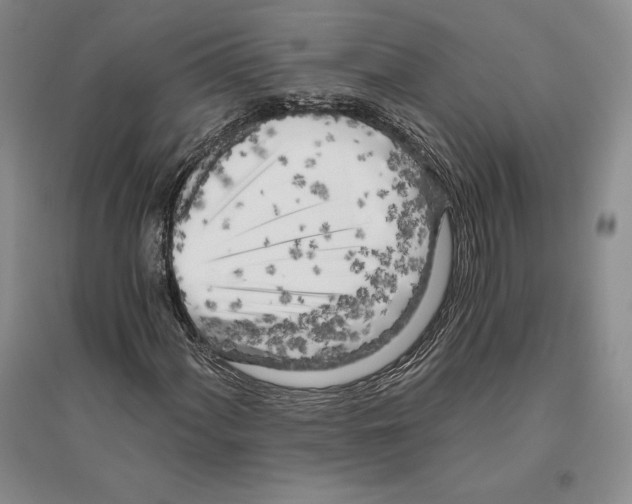 X0000096181060200802151436