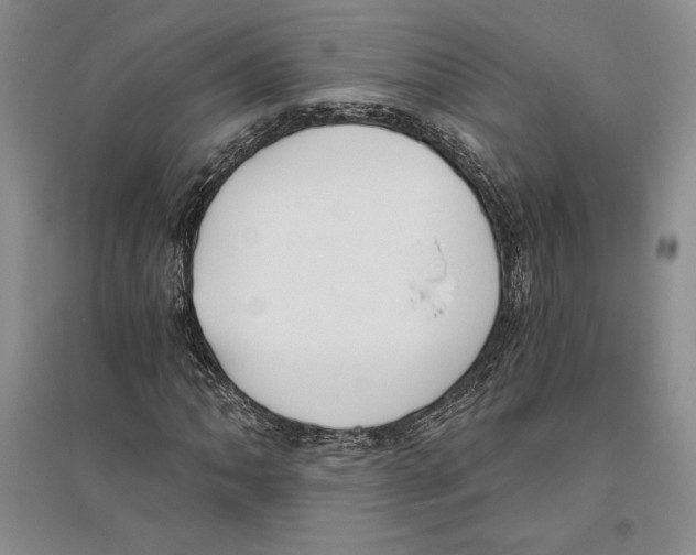 X0000096181062200802151436
