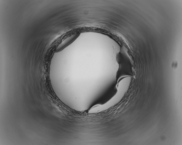 X0000096181064200802151436