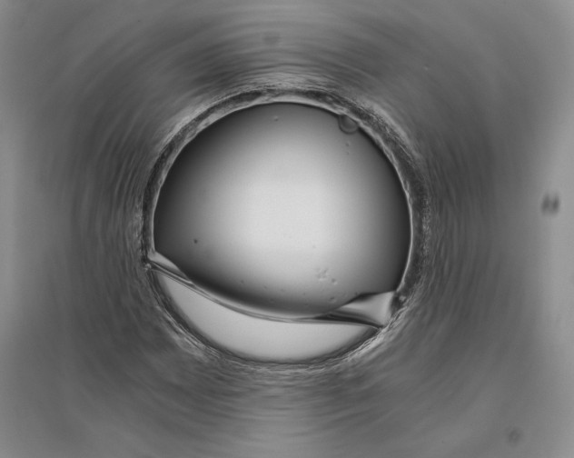 X0000096181065200802151436