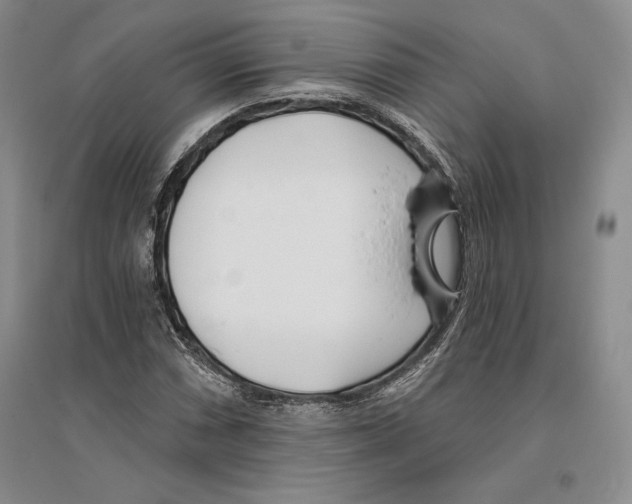 X0000096181066200802151436