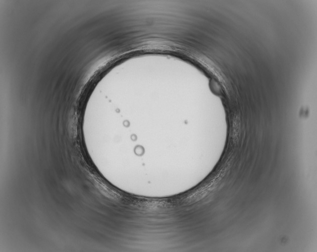 X0000096181067200802151436