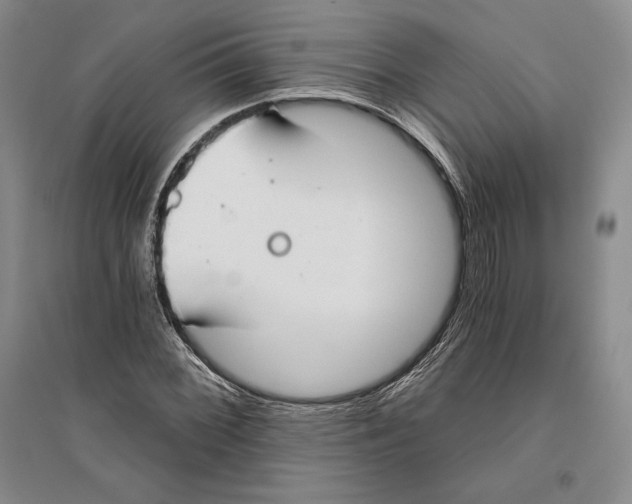 X0000096181068200802151436