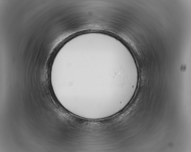 X0000096181070200802151436