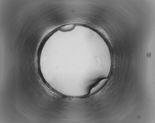 X0000096181072200802151436