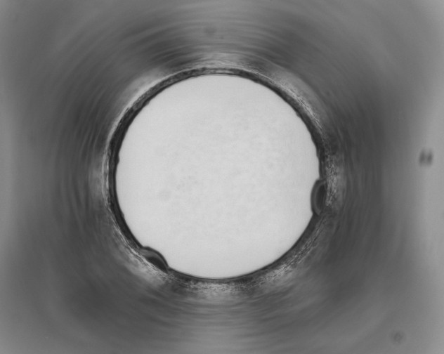 X0000096181076200802151436