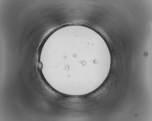 X0000096181079200802151436