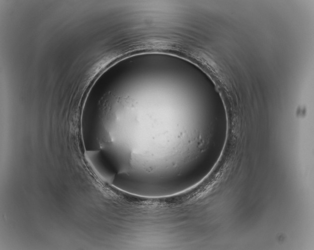 X0000096181081200802151436
