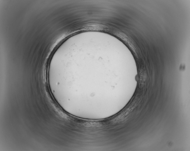 X0000096181083200802151436