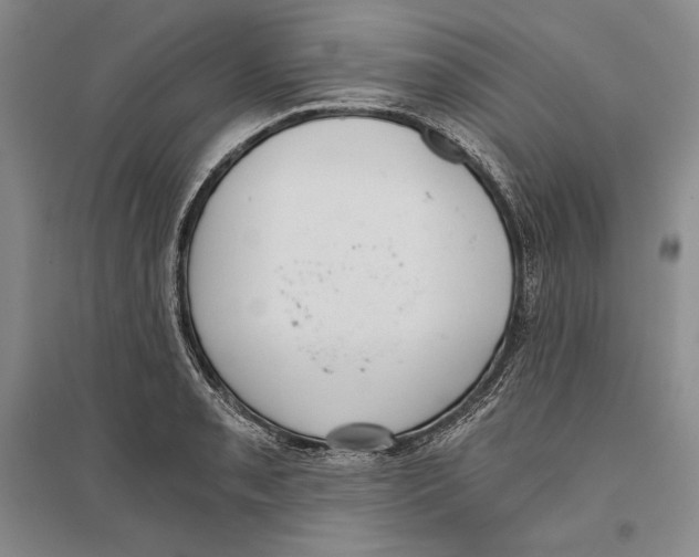 X0000096181085200802151436