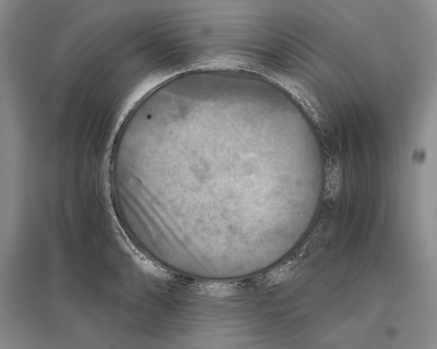 X0000096181086200802151436