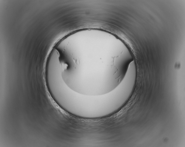 X0000096181088200802151436
