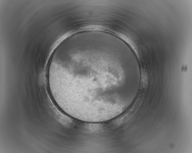 X0000096181090200802151436