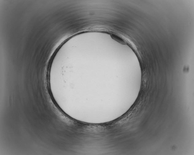 X0000096181091200802151436