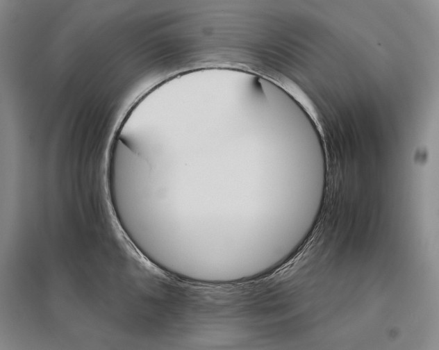 X0000096181096200802151436