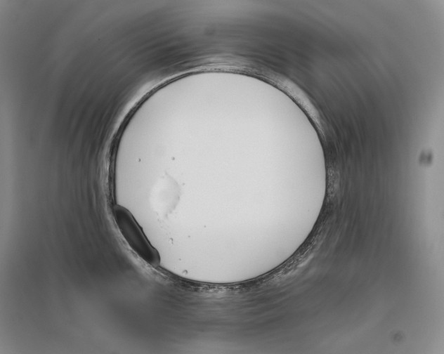 X0000096181099200802151436