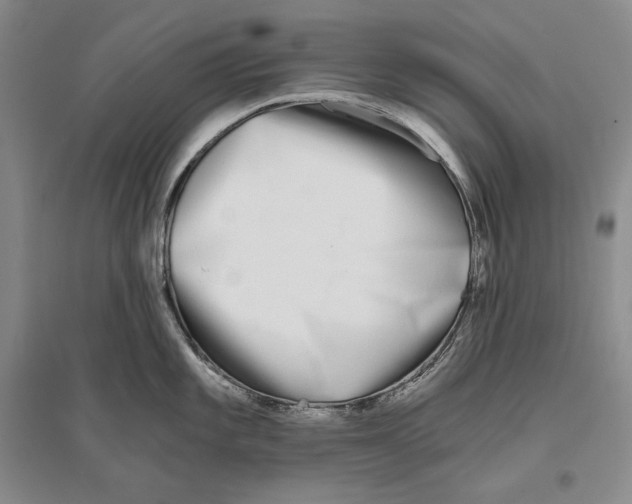 X0000096181101200802151436