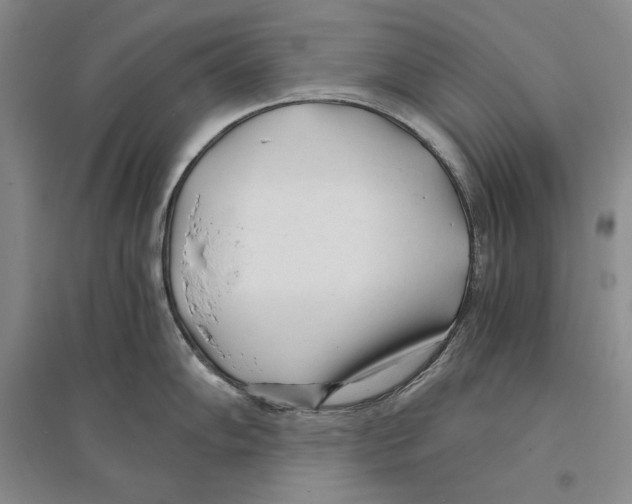 X0000096181102200802151436