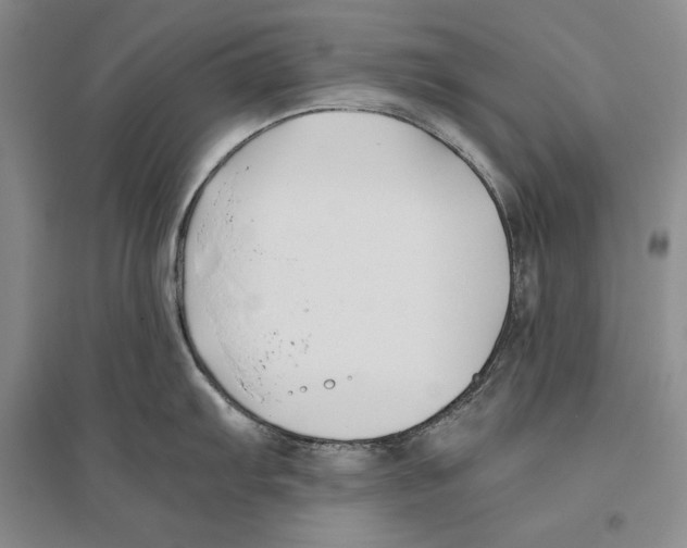 X0000096181103200802151436