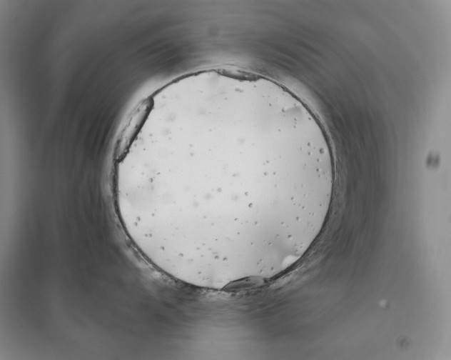X0000096181104200802151435