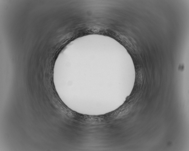 X0000096181105200802151435