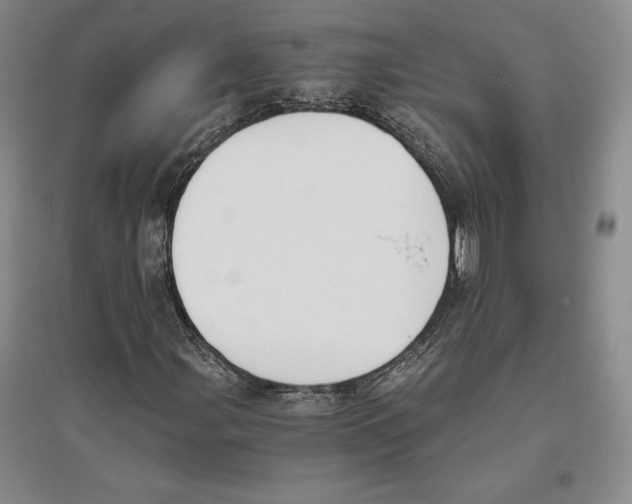 X0000096181107200802151435