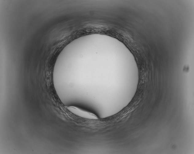 X0000096181109200802151435