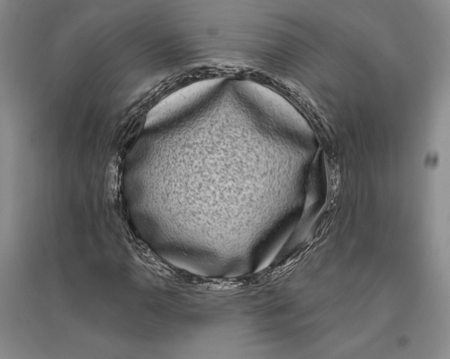 X0000096181110200802151435