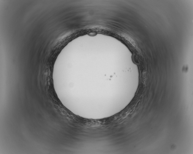 X0000096181111200802151435