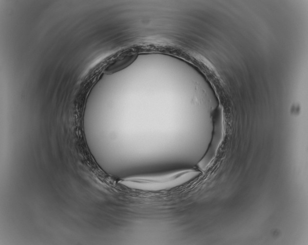 X0000096181112200802151435