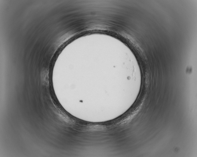 X0000096181113200802151435