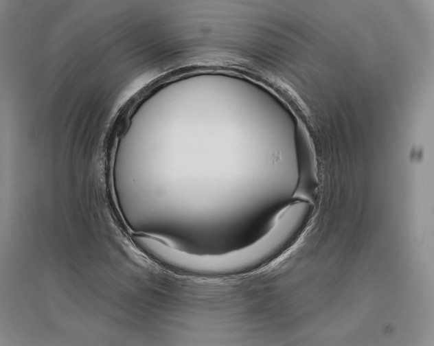 X0000096181114200802151435