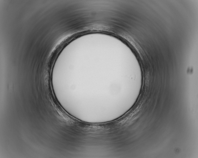 X0000096181115200802151435