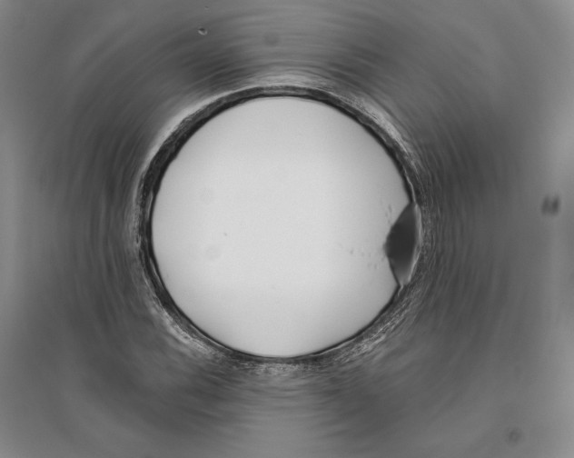 X0000096181116200802151435