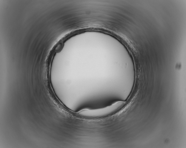 X0000096181118200802151435