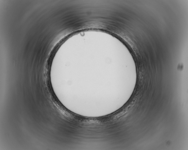 X0000096181119200802151435