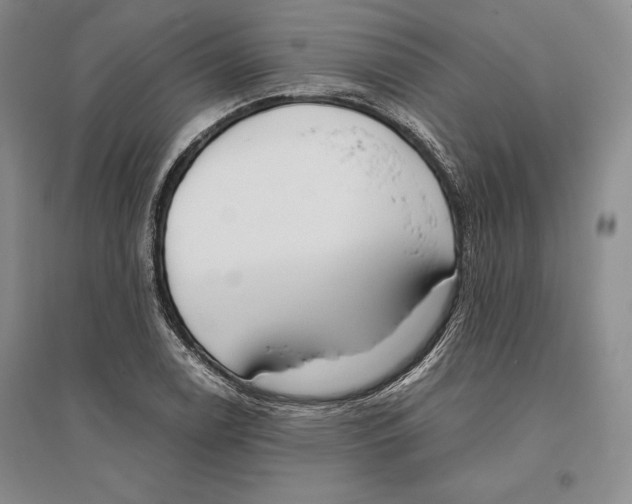 X0000096181122200802151435