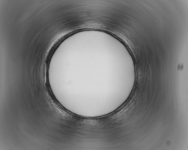 X0000096181123200802151435