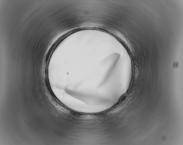X0000096181124200802151435