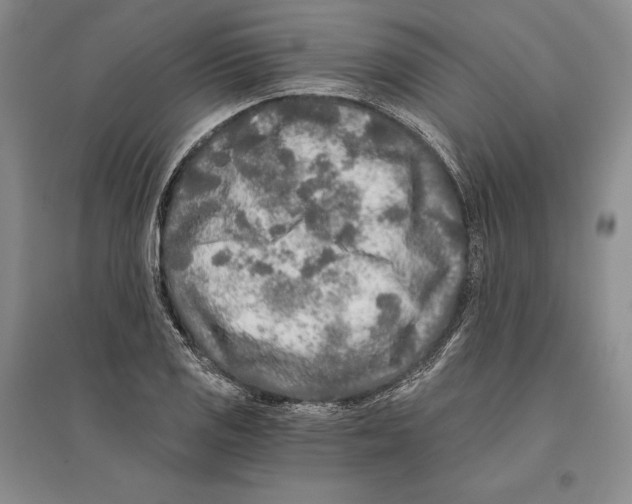 X0000096181125200802151435