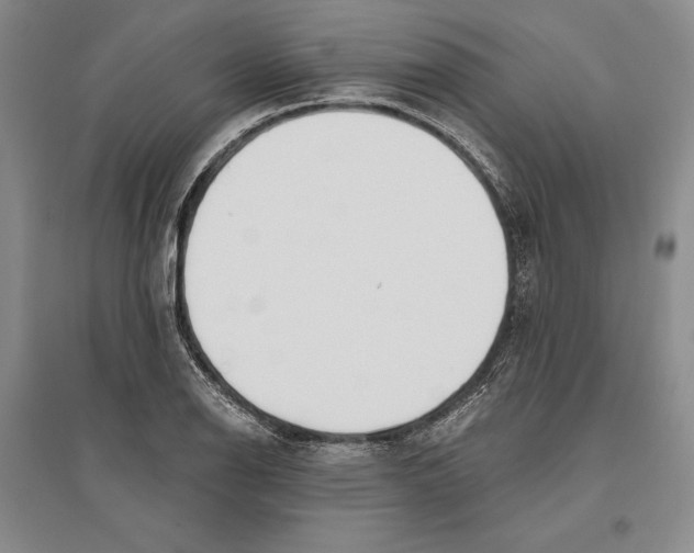 X0000096181126200802151435