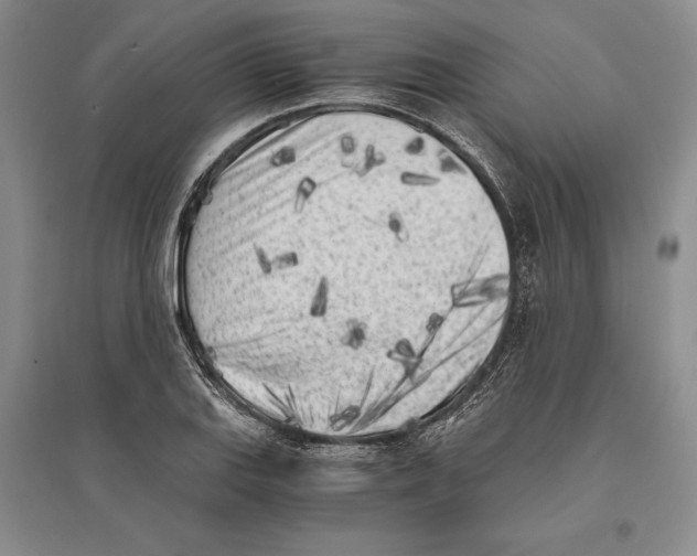 X0000096181127200802151435