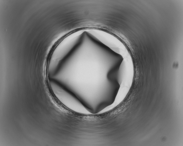 X0000096181128200802151435