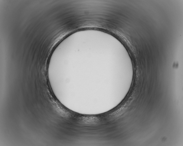 X0000096181129200802151435