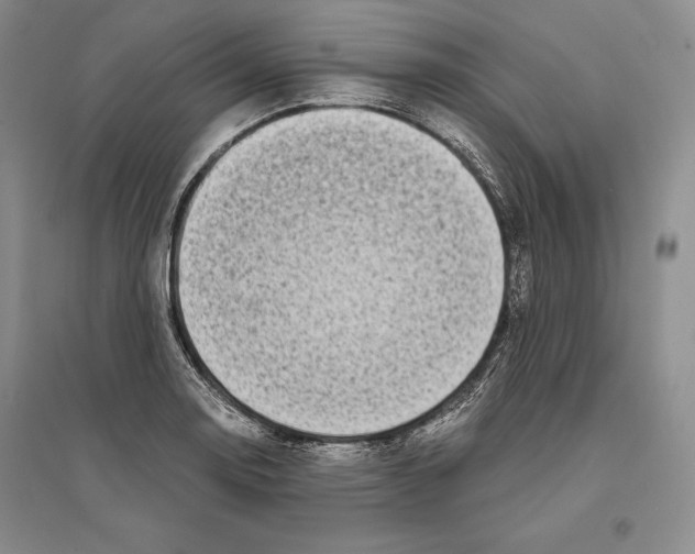 X0000096181130200802151435