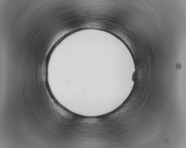 X0000096181131200802151435