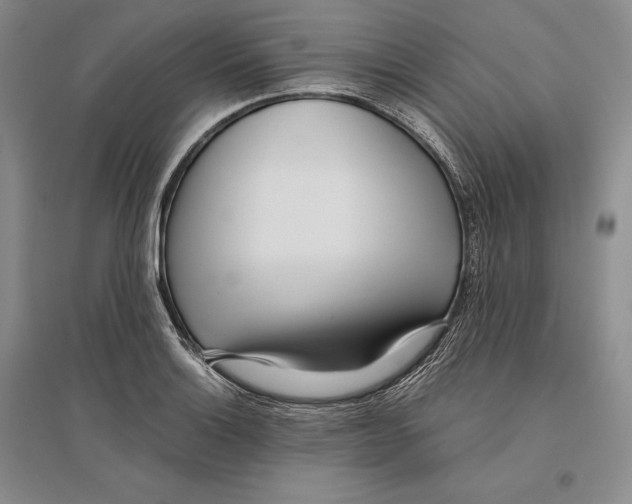 X0000096181132200802151435